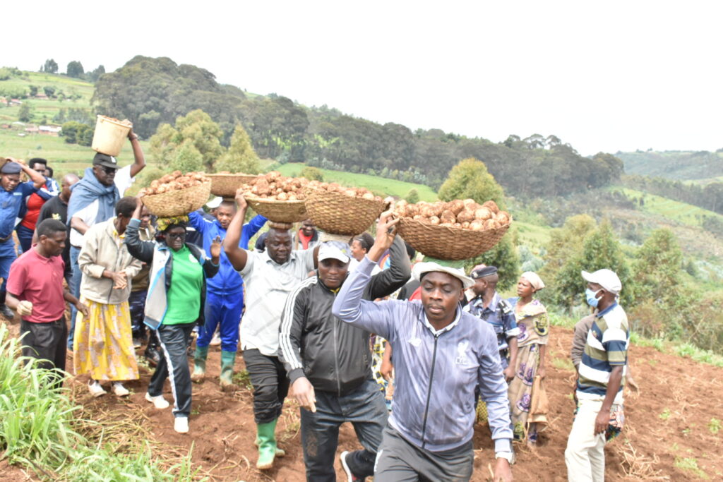 Public Financing of Sangwe Cooperatives Sparks Concerns Among Civil Society and Opposition