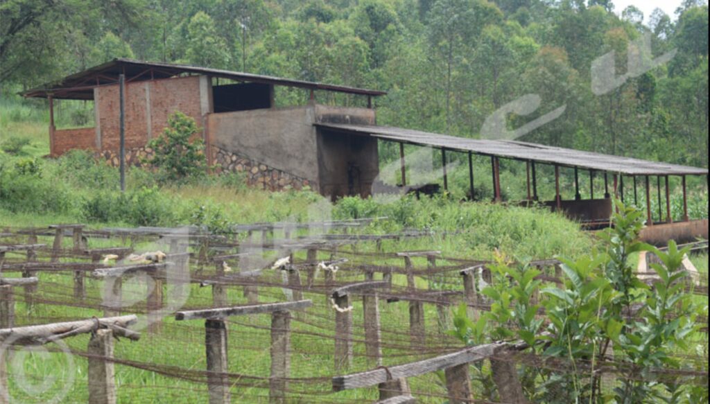 Burundi Lost Over 100 Companies to Bankruptcy Since 1987, OLUCOME Report Finds